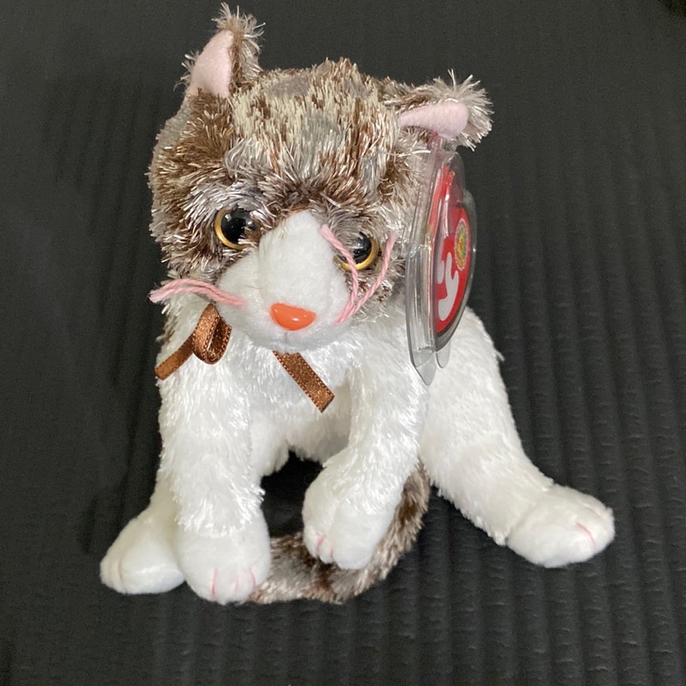 Ty Beanie Babies Baby of The Month Frisky Cat Kitten Rare Vintage Collectible